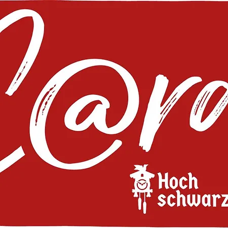 Zum Gscheiten Beck Mit Grosser Terrasse Apartamento Feldberg (Baden-Wurttemberg)