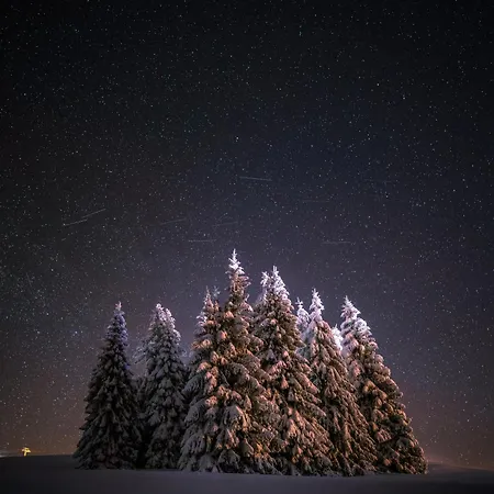 Zum Gscheiten Beck Mit Grosser Terrasse Apartamento Feldberg (Baden-Wurttemberg)