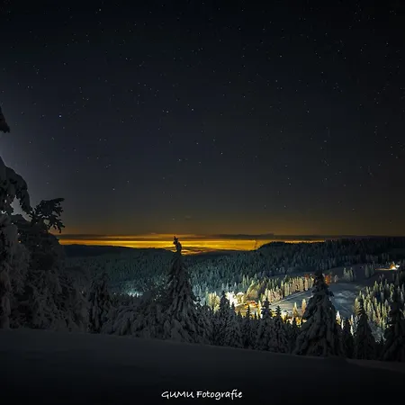 Zum Gscheiten Beck Mit Grosser Terrasse Feldberg (Baden-Wurttemberg)