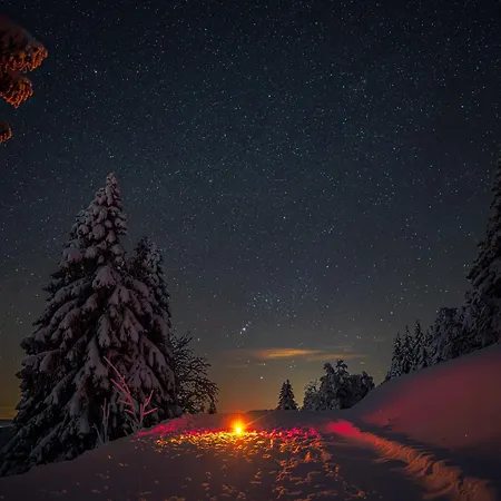 Zum Gscheiten Beck Mit Grosser Terrasse * Feldberg (Baden-Wurttemberg)