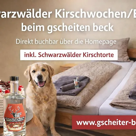 Appartement Zum Gscheiten Beck Mit Grosser Terrasse Feldberg (Baden-Wurttemberg)