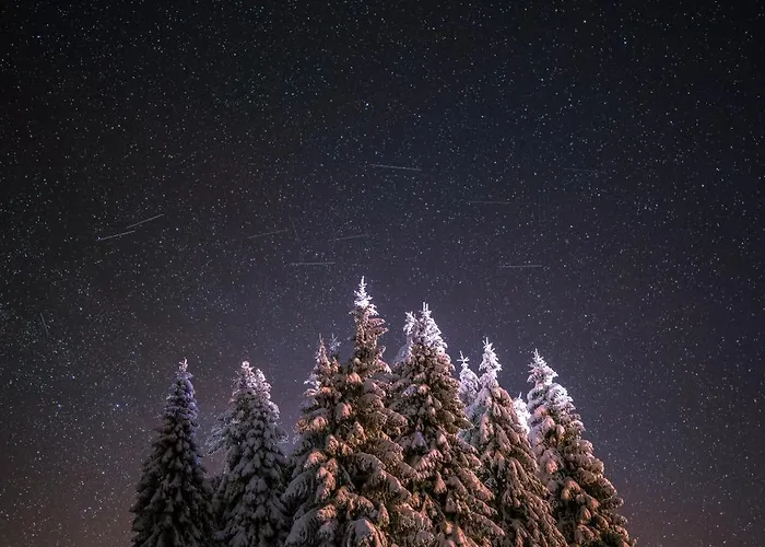 Zum Gscheiten Beck Mit Grosser Terrasse Appartamento Feldberg (Baden-Wurttemberg)